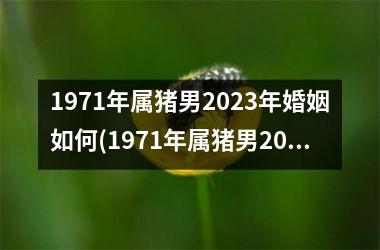 <h3>1971年属猪男2025年婚姻如何(1971年属猪男2025年运势及运程每月运程)