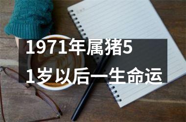 1971年属猪51岁以后一生命运