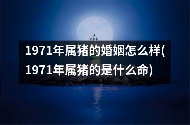 <h3>1971年属猪的婚姻怎么样(1971年属猪的是什么命)