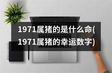 <h3>1971属猪的是什么命(1971属猪的幸运数字)