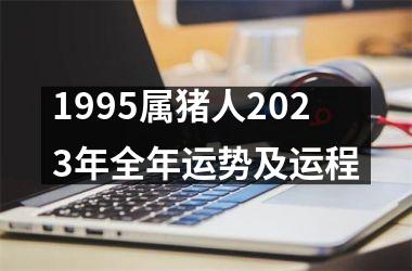 1995属猪人2025年全年运势及运程