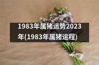 1983年属猪运势2025年(1983年属猪运程)