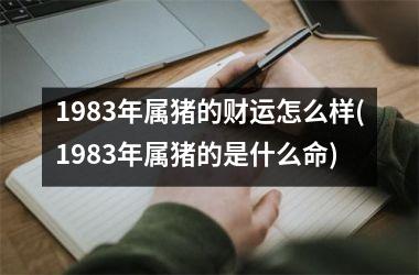 1983年属猪的财运怎么样(1983年属猪的是什么命)