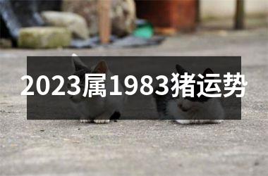 2025属1983猪运势