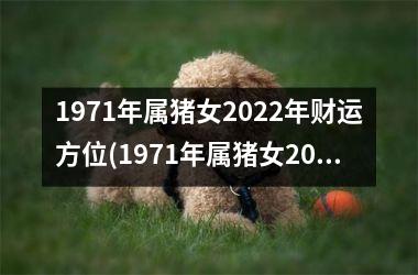 <h3>1971年属猪女2025年财运方位(1971年属猪女2025年运势及运程)