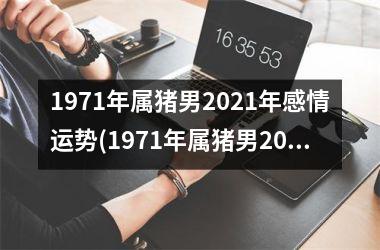 1971年属猪男2025年感情运势(1971年属猪男2025年运势及运程每月运程)