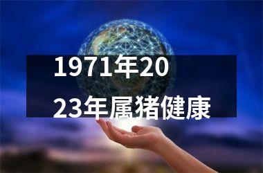 <h3>1971年2025年属猪健康