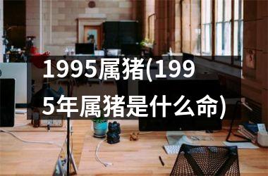 1995属猪(1995年属猪是什么命)