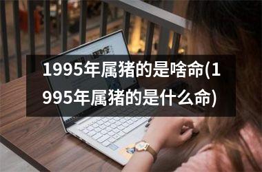 1995年属猪的是啥命(1995年属猪的是什么命)