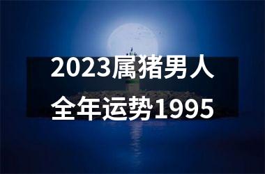 2025属猪男人全年运势1995