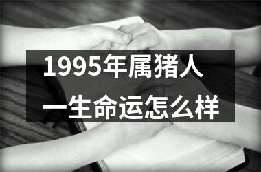 <h3>1995年属猪人一生命运怎么样