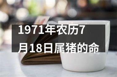 <h3>1971年农历7月18日属猪的命