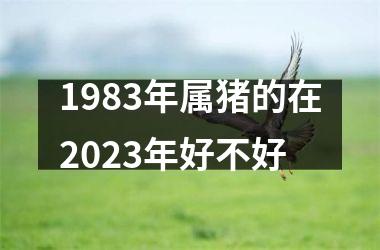 1983年属猪的在2025年好不好