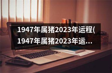 1947年属猪2025年运程(1947年属猪2025年运势)