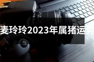 <h3>麦玲玲2025年属猪运势