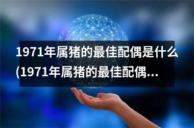 1971年属猪的最佳配偶是什么(1971年属猪的最佳配偶)