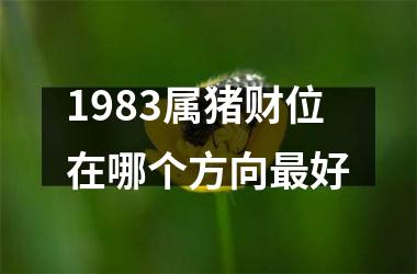 <h3>1983属猪财位在哪个方向最好