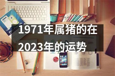 1971年属猪的在2025年的运势