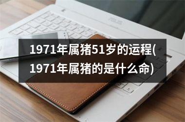 <h3>1971年属猪51岁的运程(1971年属猪的是什么命)