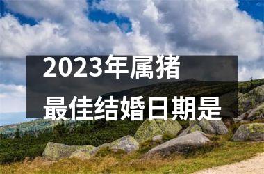 <h3>2025年属猪最佳结婚日期是