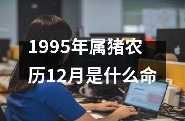 <h3>1995年属猪农历12月是什么命