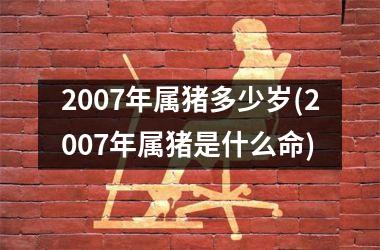 2007年属猪多少岁(2007年属猪是什么命)