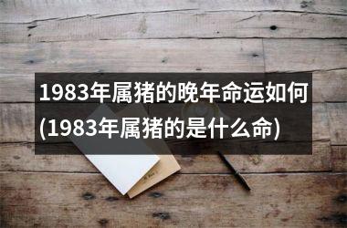 1983年属猪的晚年命运如何(1983年属猪的是什么命)