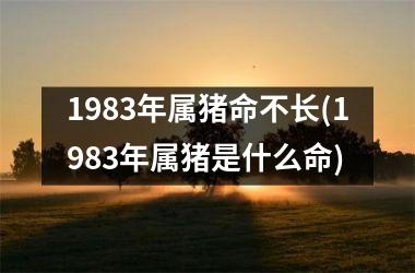 1983年属猪命不长(1983年属猪是什么命)