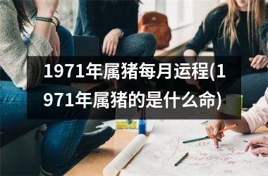 1971年属猪每月运程(1971年属猪的是什么命)