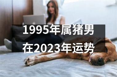 1995年属猪男在2025年运势