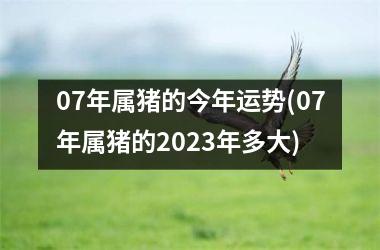 07年属猪的今年运势(07年属猪的2025年多大)