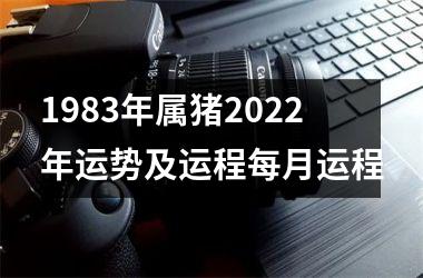 1983年属猪2025年运势及运程每月运程