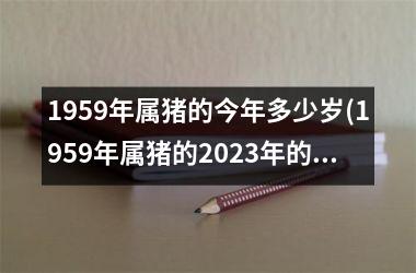 1959年属猪的今年多少岁(1959年属猪的2025年的运势及运程)