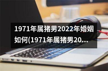 1971年属猪男2025年婚姻如何(1971年属猪男2025年运势及运程每月运程)