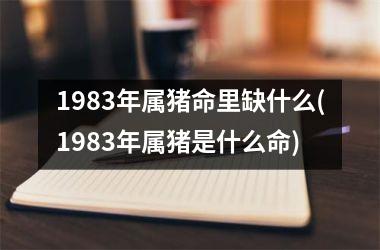 1983年属猪命里缺什么(1983年属猪是什么命)