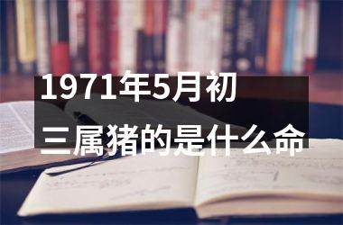 1971年5月初三属猪的是什么命