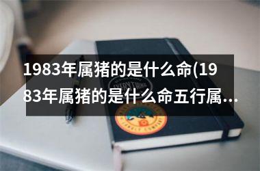 <h3>1983年属猪的是什么命(1983年属猪的是什么命五行属什么)