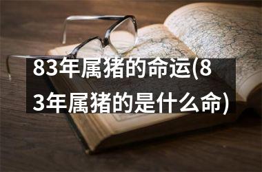 83年属猪的命运(83年属猪的是什么命)