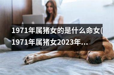 1971年属猪女的是什么命女(1971年属猪女2025年运势及运程)