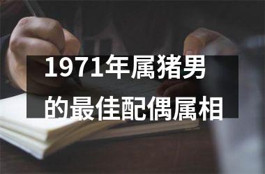 1971年属猪男的最佳配偶属相