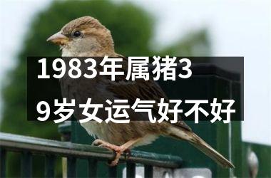 1983年属猪39岁女运气好不好