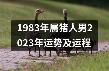 <h3>1983年属猪人男2025年运势及运程