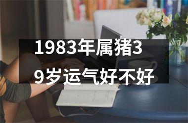 1983年属猪39岁运气好不好