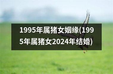 1995年属猪女姻缘(1995年属猪女2024年结婚)