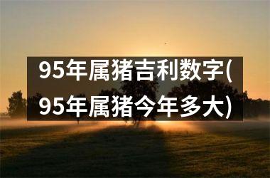 95年属猪吉利数字(95年属猪今年多大)