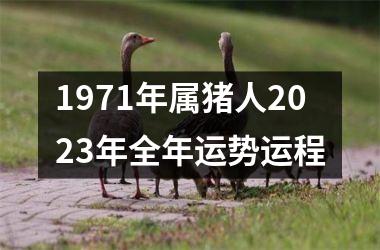 1971年属猪人2025年全年运势运程