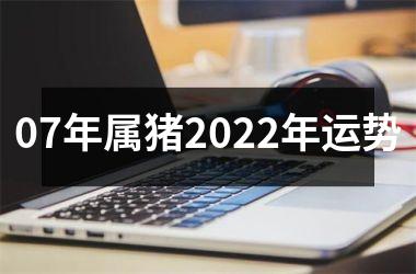 <h3>07年属猪2025年运势