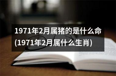 1971年2月属猪的是什么命(1971年2月属什么生肖)