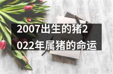 2007出生的猪2025年属猪的命运