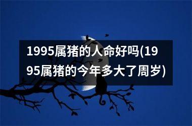 1995属猪的人命好吗(1995属猪的今年多大了周岁)